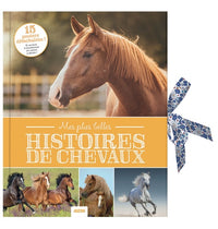 MES PLUS BELLES HISTOIRES DE CHEVAUX (NOUVELLE EDITION): 15 POSTERS DETACHABLES ! ET UN LIVRE A TRANSFORMER EN CARTON A DESSIN
