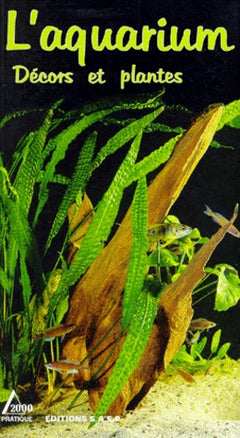 L'aquarium: Décors et plantes