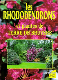 Les rhododendrons et plantes de terre de bruyère