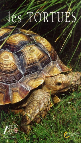 Les tortues