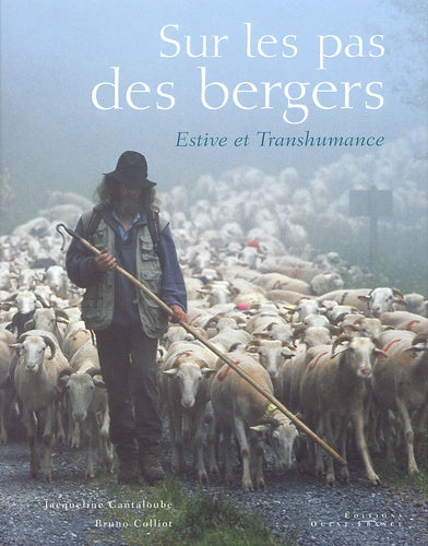 Sur les pas des bergers : Estive et transhumance