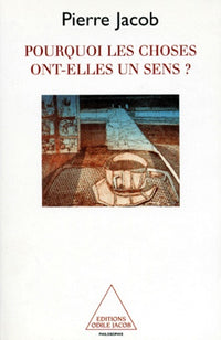 Pourquoi les choses ont-elles un sens ?