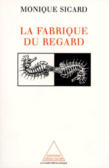 La fabrique du regard