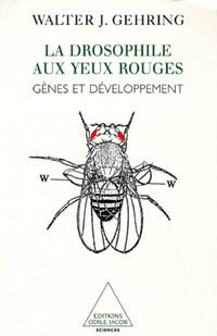 La Drosophile aux yeux rouges