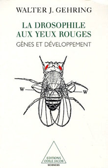 La Drosophile aux yeux rouges