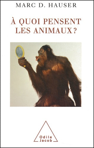 À quoi pensent les animaux ?