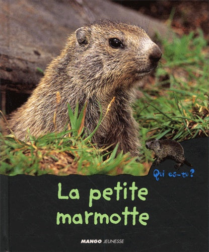 La Petite Marmotte