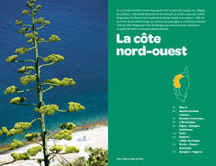 Corse