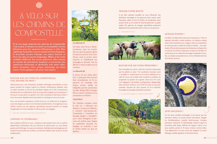 Sur les chemins de Compostelle