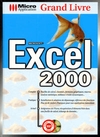 Grand livre Excel 2000