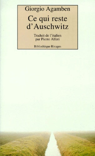 , Ce qui reste d'Auschwitz. L'Archive et le témoin