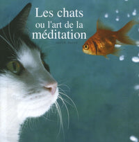 Chats et la méditation