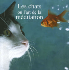 Chats et la méditation