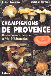 Les champignons de Provence