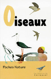 Oiseaux