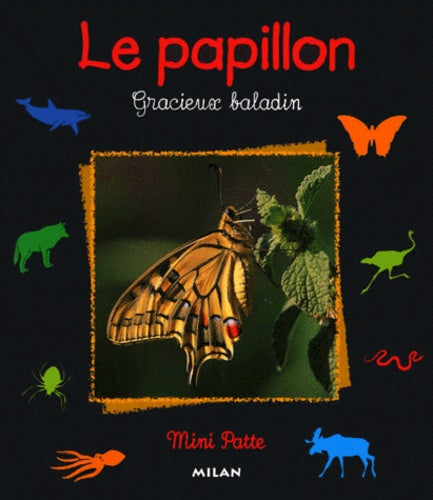 Papillon gracieux baladin