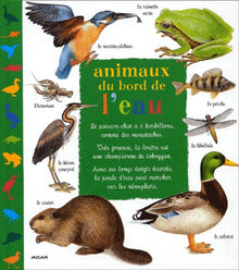 Animaux du bord de l'eau