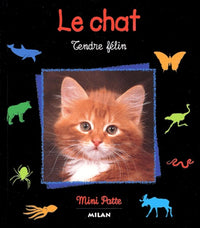 Le chat : tendre félin