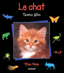 Le chat : tendre félin
