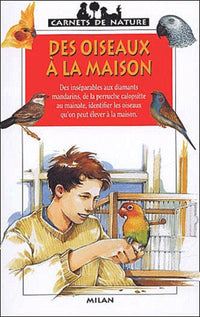 Des oiseaux à la maison