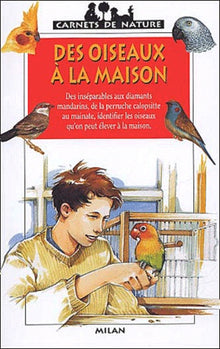 Des oiseaux à la maison