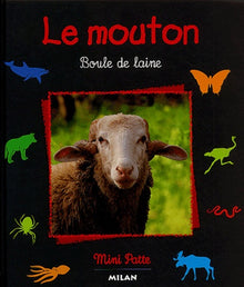 Le Mouton : Boule de laine