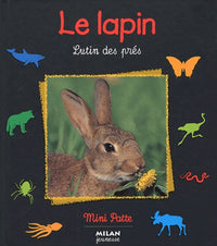 Le lapin, lutin des prés