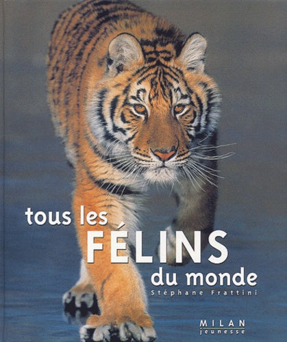 Tous Les Felins Du Monde