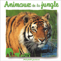 Animaux de la jungle