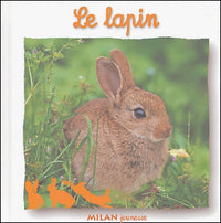 Le Lapin