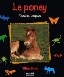 Le poney: Tendre coquin