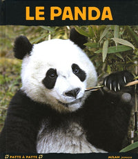 Le Panda : Fou de bambous