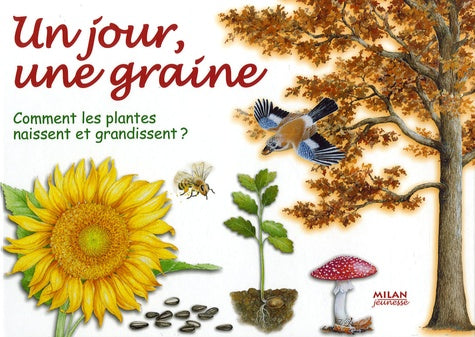 Un jour, une graine