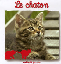 Le Chaton
