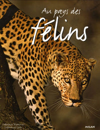 Au pays des félins