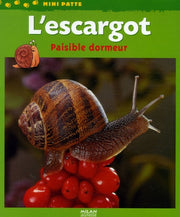 L'escargot paisible dormeur