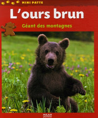 L'ours brun: Géant des montagnes