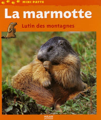 La marmotte: Lutin des montagnes