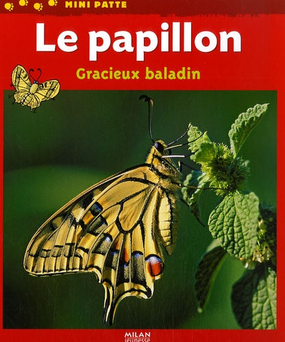 Le papillon: Gracieux baladin