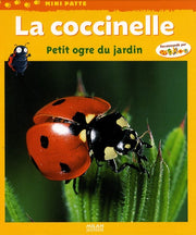 La coccinelle. Petit ogre du jardin