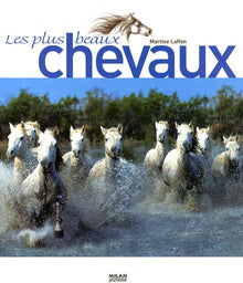 Les plus beaux chevaux