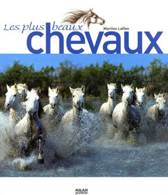 Les plus beaux chevaux