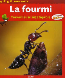 La fourmi
