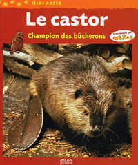 Le castor: Champion des bûcherons