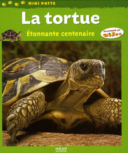La tortue