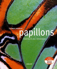 Papillons
