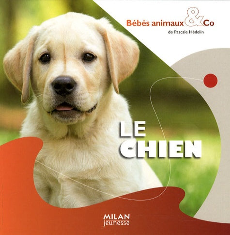 Le chien