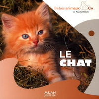 Le chat