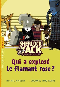 Qui a explosé le flamant rose ?
