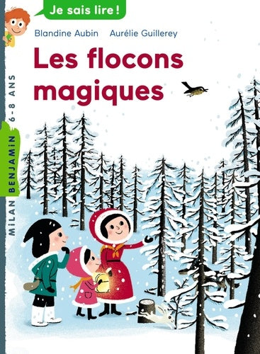 Les flocons magiques